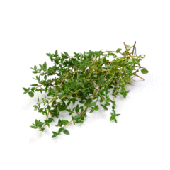 Thyme - 50g - Image 4