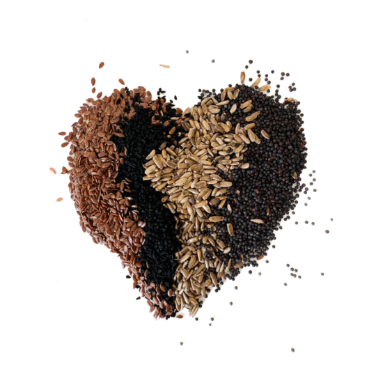 Seeds